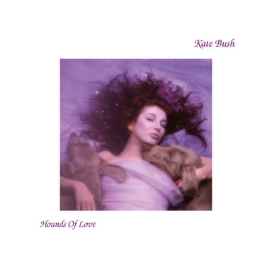 Hounds Of Love artwork