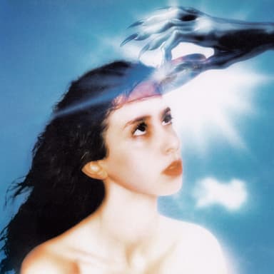Imaginal Disk artwork